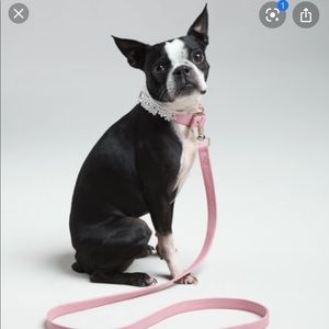 Oscar de la Renta x NM x Target Dog Collar & Leash